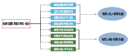 房山社会办医与养老产业规划思路