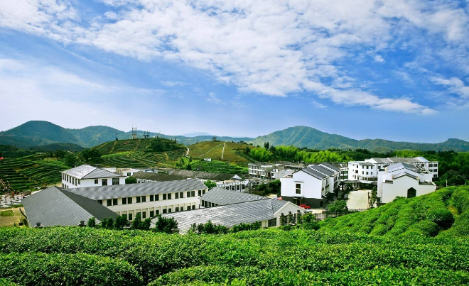 乡村振兴示范带规划中机院