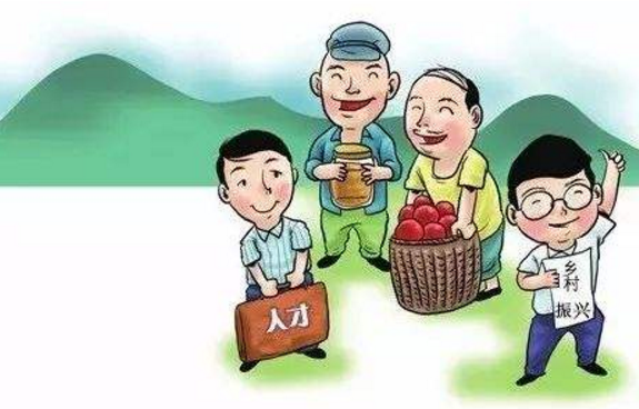 乡村振兴下人才队伍建设方案