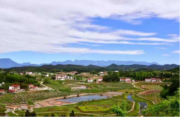 乡村振兴战略的路径,乡村振兴战略的方案