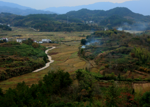 甘泉县城关镇太皇山村规划设计方案,美丽乡村建设规划