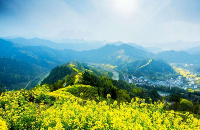 沈阳乡村振兴的对策,沈阳乡村振兴规划方案,沈阳乡村振兴对策研究