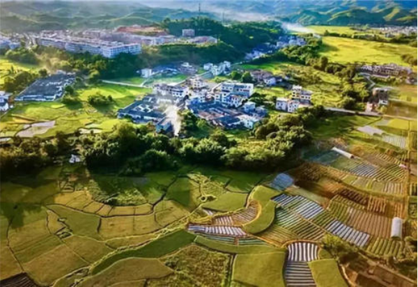 农村产业发展的规划，国土空间规划