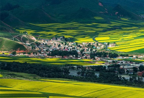 西宁乡村振兴示范村,乡村振兴示范村规划