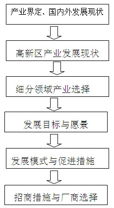 高新区发展战略规划流程