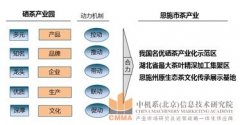 恩施硒茶产业园产业规划与招商前置研究