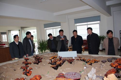 肥东积极推进合肥上海产业园区规划建设