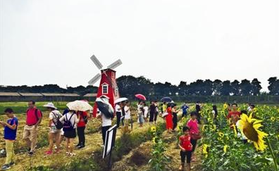 东莞'10镇1港'抱团展示生态农业风情