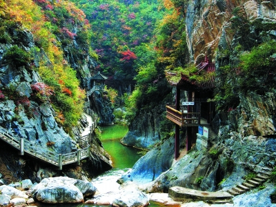 陇南乡村旅游产业：绿水青山就是金山银山