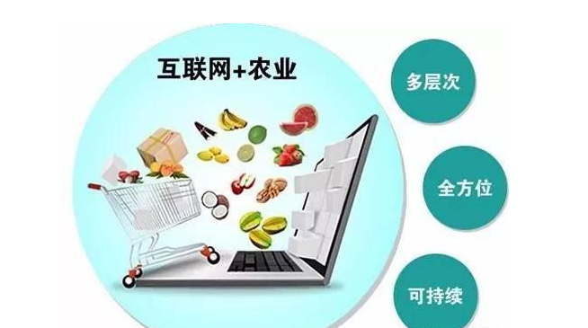 '互联网+'背景下生态农业的发展的路在何方?