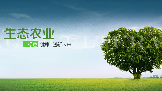 生态农业将在未来的一段时间内呈现上升趋势