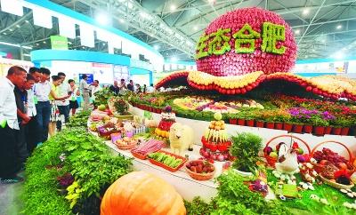发展现代农业打造“生态经济”