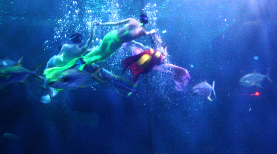 精心打造山东特色的海洋生态文明建设促进海洋产业转型升级