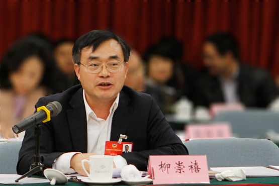 两会代表针对新能源汽车未来发展及其配套设施方面都有何建言呢？