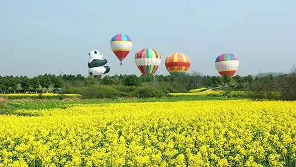 南京高淳桠溪国际慢城，游客乘坐高空热气球俯瞰油菜花海
