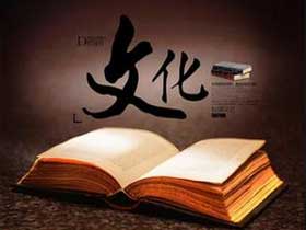 深圳文博会带动了中国文化产业的腾飞