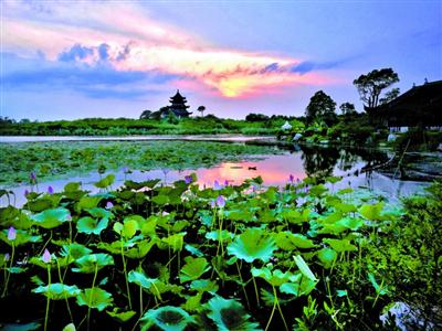 上海奉贤小镇建设