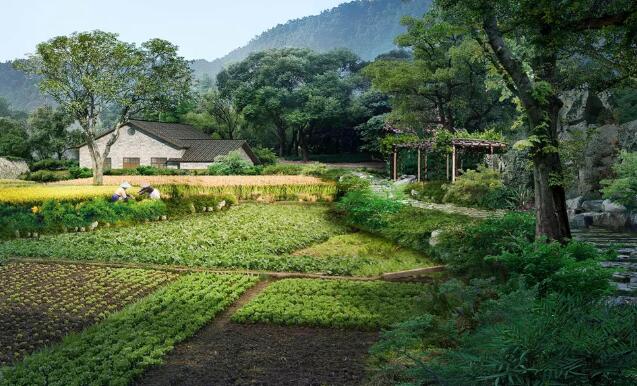 田园综合体建设