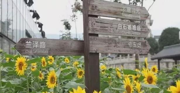 田园综合体规划案例：浙江绍兴-柯桥区漓渚镇“花香漓渚”田园综合体