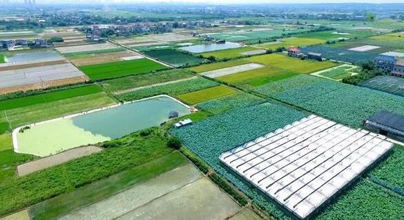 湘潭市发展乡村振兴战略举措：建设十大市级现代农业示范园