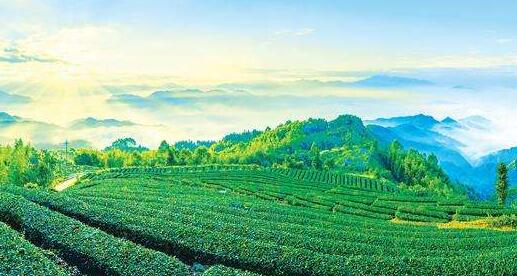 山东省总工会出台了《山东工会参与乡村振兴战略实施十项措施》