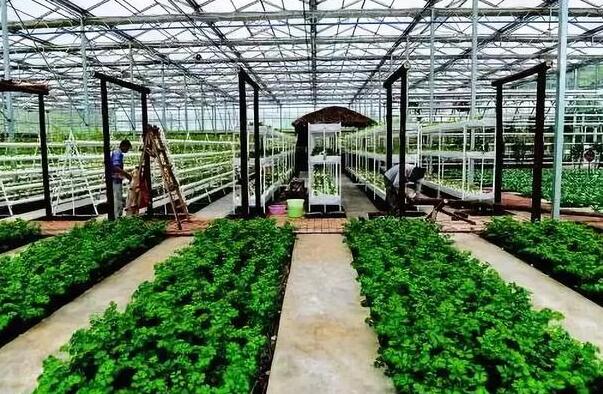 如何又快又好建设农业高新技术产业示范区？