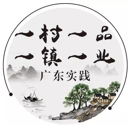 广东推动乡村振兴