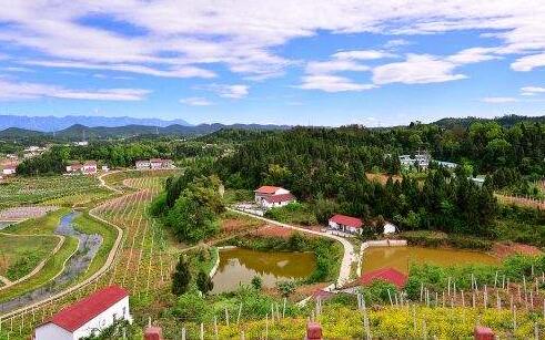 甘肃酒泉乡村振兴战略：农村“三变”改革试点工作