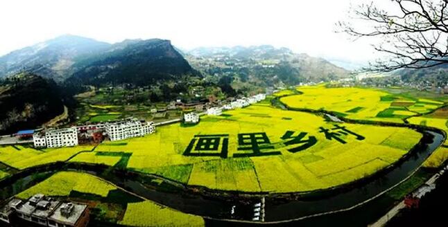 乡村振兴之土地政策梳理：32种农业项目用地解决方案