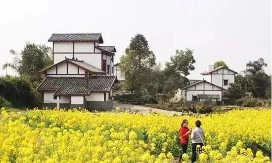 《政府工作报告》：大力实施乡村振兴战略，国务院分工明确