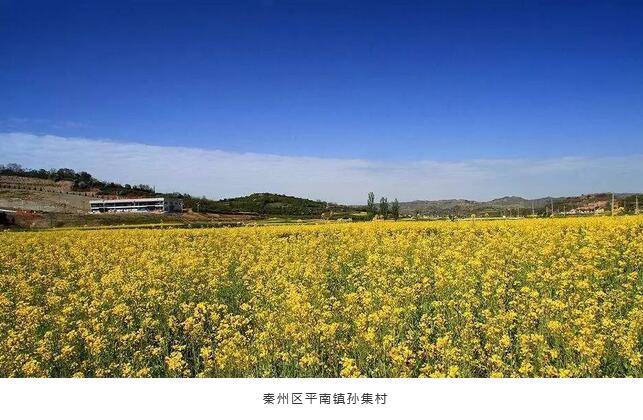 装配式建筑引领天水乡村旅游产业发展新模式 