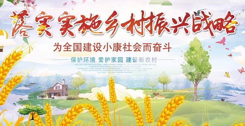 2017-2018年习大大多次多个层面谈乡村振兴战略