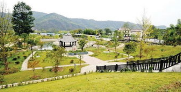 安徽美丽乡村从“盆景”变“风景”