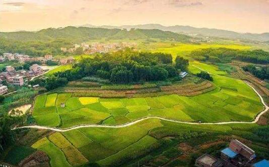 各地乡村振兴规划在编制理念方面存在哪些问题？