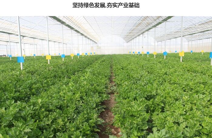 临泽把生态宜居、美丽乡村建设作为乡村振兴的生命线