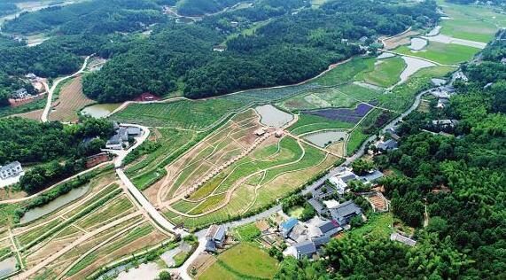 影响江苏19.8万个自然村美丽乡村建设的四类问题研究
