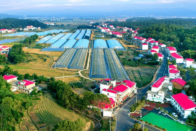 溪村村土地综合整治困难,土地综合整治建议