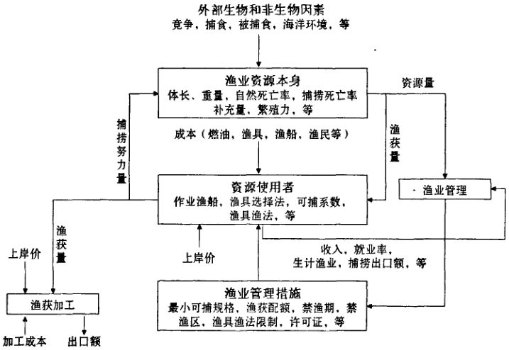 图1 渔业资源生物经济模型建立的示意图