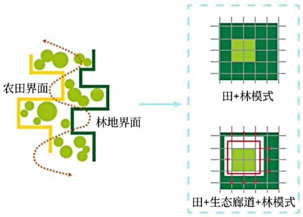 农田林地整合田林生态廊道一体模式