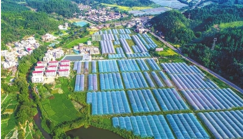 江西省全南县创新乡村产业发展路径探析 江西省全南县创新乡村产业发展路径探析