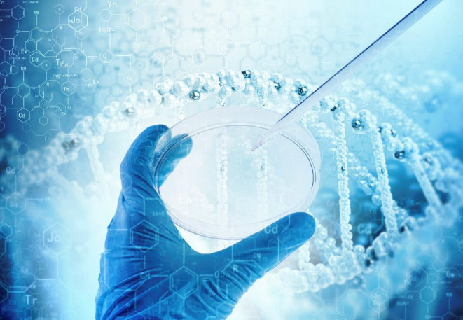 生物医药产业政策总体特征,生物医药产业优化建议