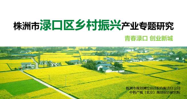 中机院承接《株洲市渌口区乡村振兴产业专题研究》