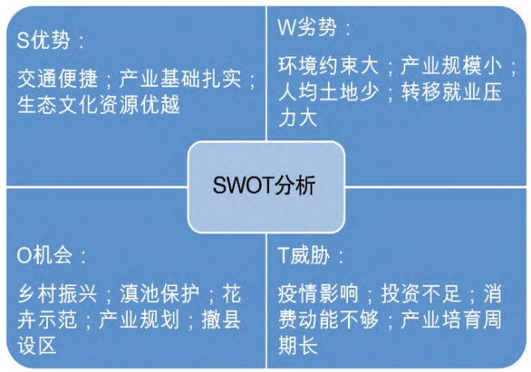 昆阳街道产业发展SWOT分析