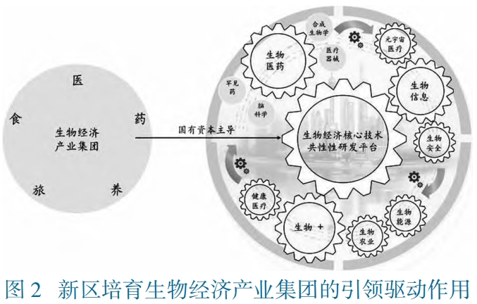 上海市浦东区生物经济发展路径对策及建议