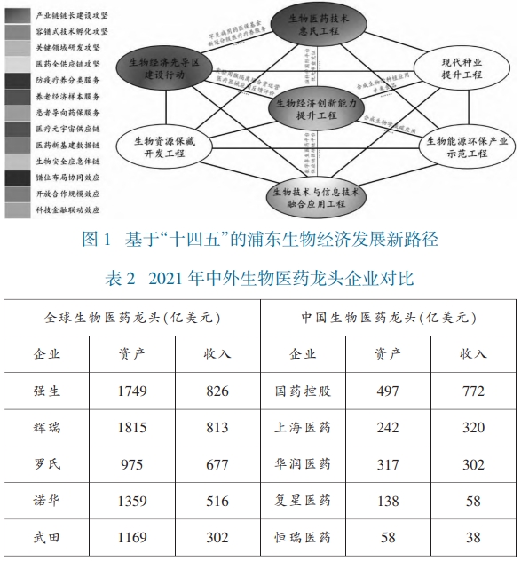 基于“十四五”的浦东生物经济发展新路径