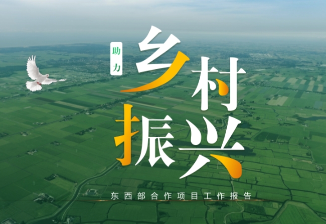 乡村振兴战略下西部地区乡村振兴的现状及建设融资分析