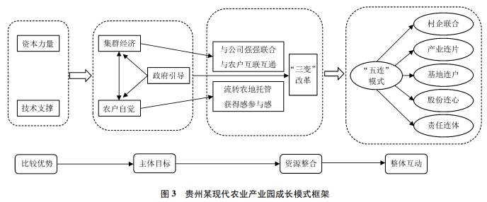 西南地区特色生态农业产业成长模式典型案例分析