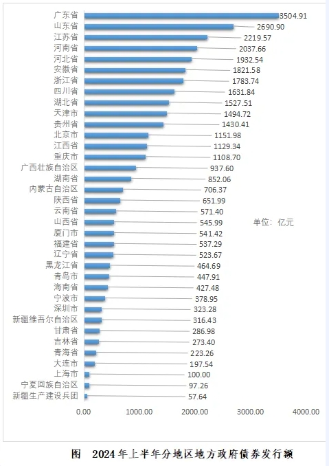 2024年1-6月份地方政府债券发行情况