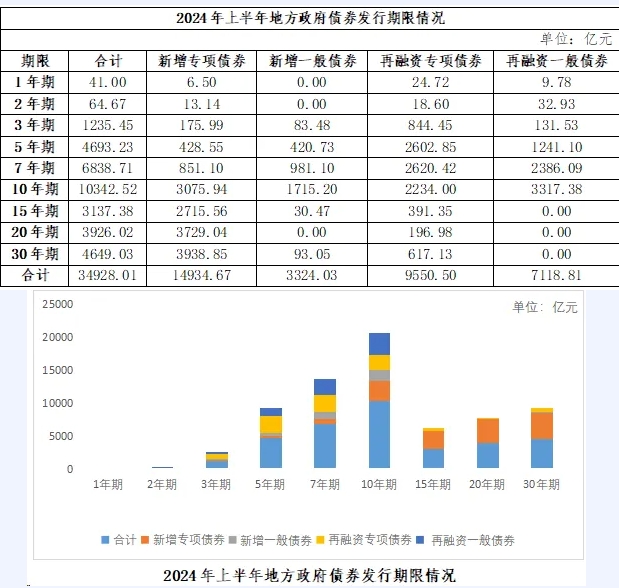 2024年1-6月份地方政府债券发行情况