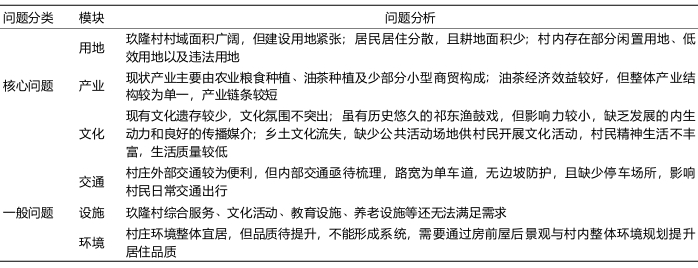 玖隆村主要问题分析